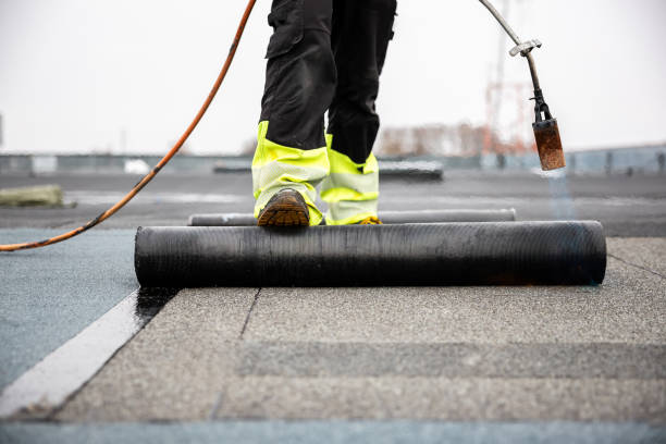 Best Roof Maintenance and Cleaning  in Frankfort, OH